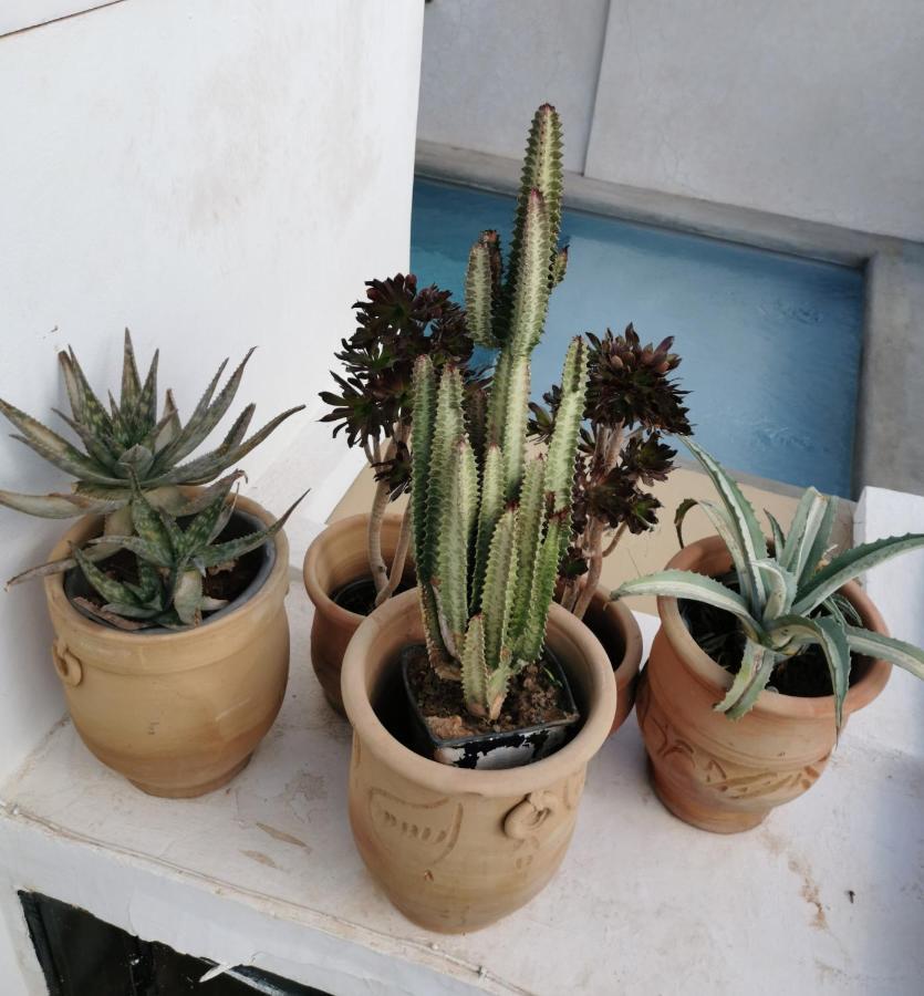 Riad Bab Aylen - Piscine Roof Top Chauffee Marakéš Exteriér fotografie